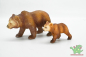 Preview: Schleich Grizzly Bundle 14323 + 14324
